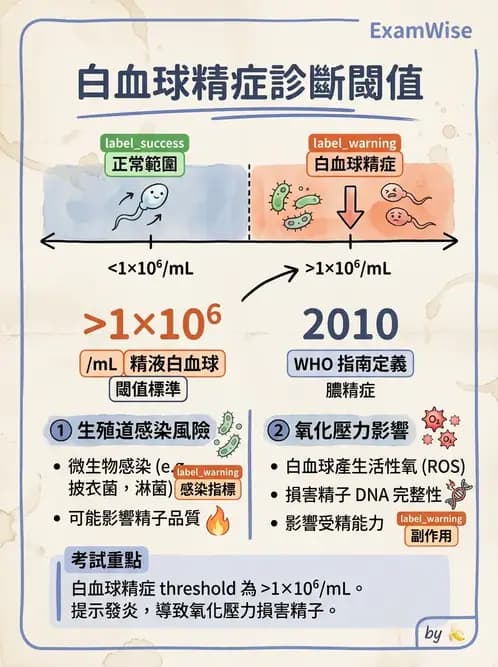 醫檢師 - 精液檢查 - AI 圖文解析預覽