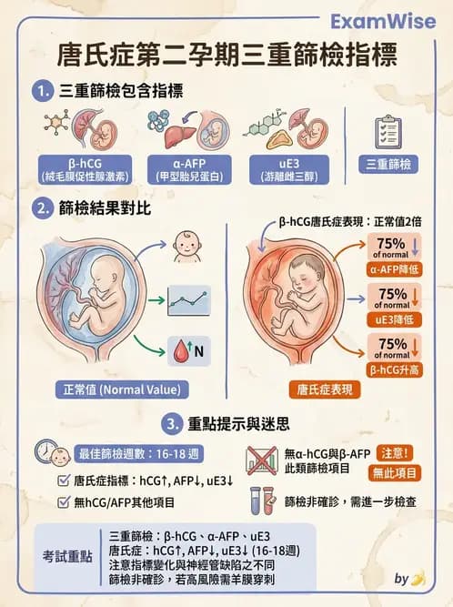 醫檢師 - 懷孕試驗 - AI 圖文解析預覽