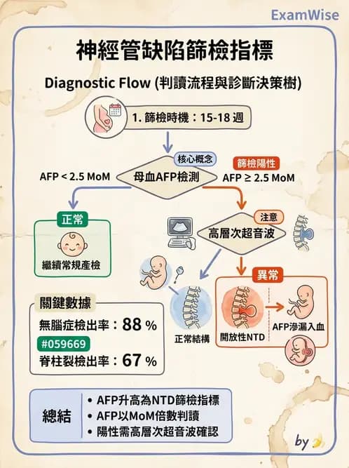 醫檢師 - 懷孕試驗 - AI 圖文解析預覽