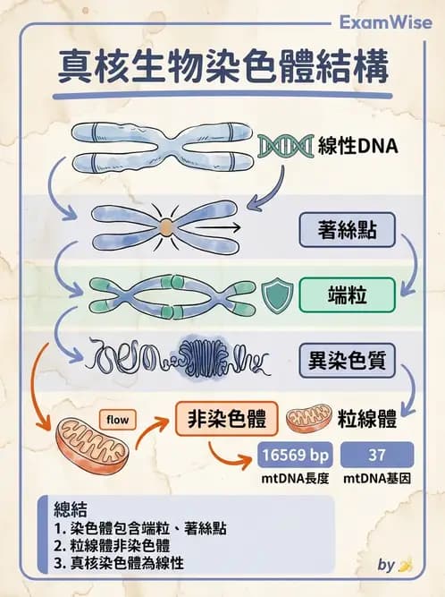 醫檢師 - 基礎分子生物學 - AI 圖文解析預覽