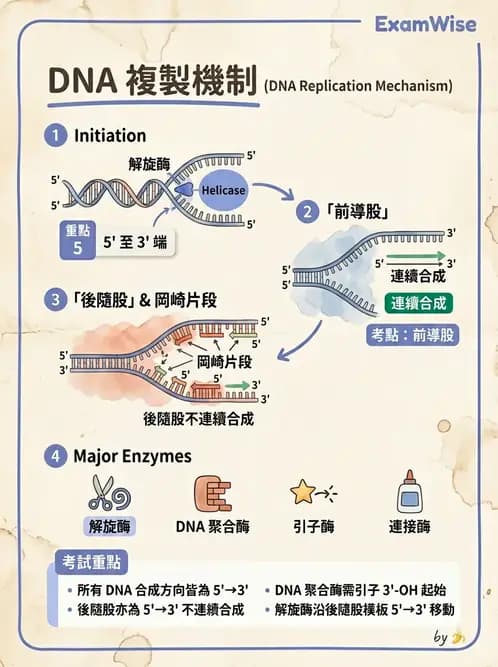 醫檢師 - 基礎分子生物學 - AI 圖文解析預覽