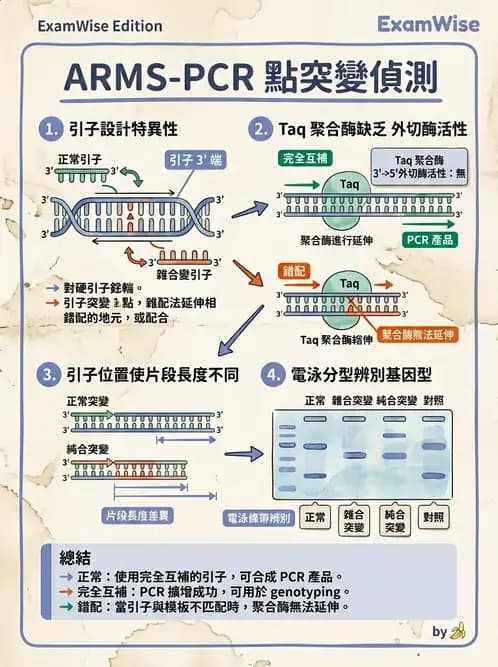 醫檢師 - 核酸擴增與萃取技術 - AI 圖文解析預覽