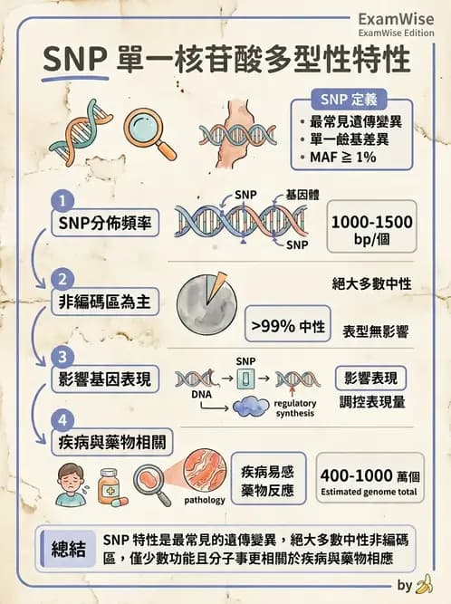 醫檢師 - 基礎分子生物學 - AI 圖文解析預覽