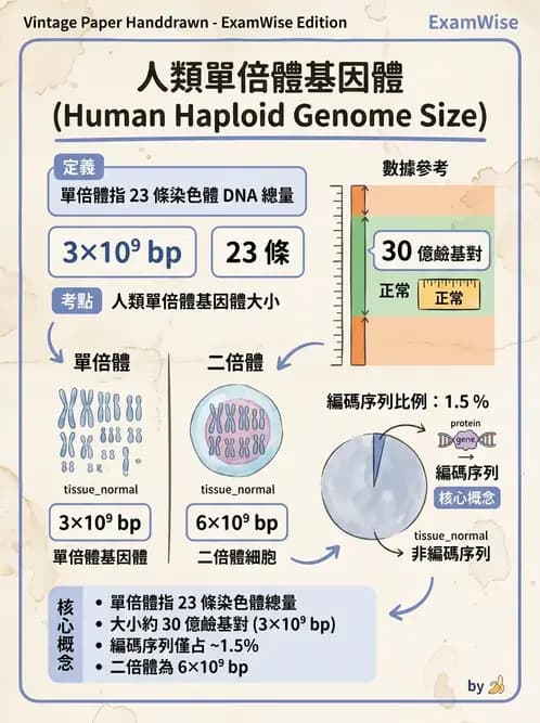 醫檢師 - 基礎分子生物學 - AI 圖文解析預覽
