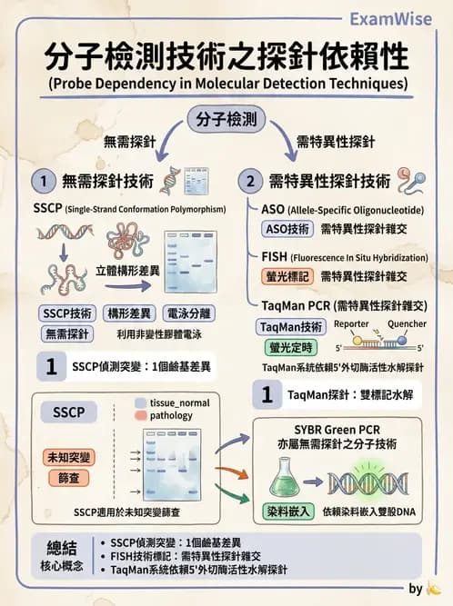 醫檢師 - 定序電泳與表觀分析 - AI 圖文解析預覽