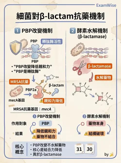 醫檢師 - 感染症分子檢驗 - AI 圖文解析預覽