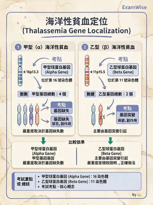 醫檢師 - 遺傳疾病基因檢測 - AI 圖文解析預覽