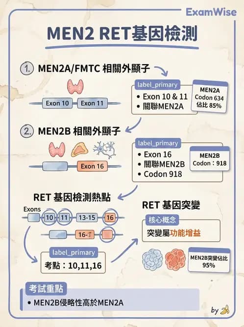 醫檢師 - 腫瘤疾病基因檢測 - AI 圖文解析預覽