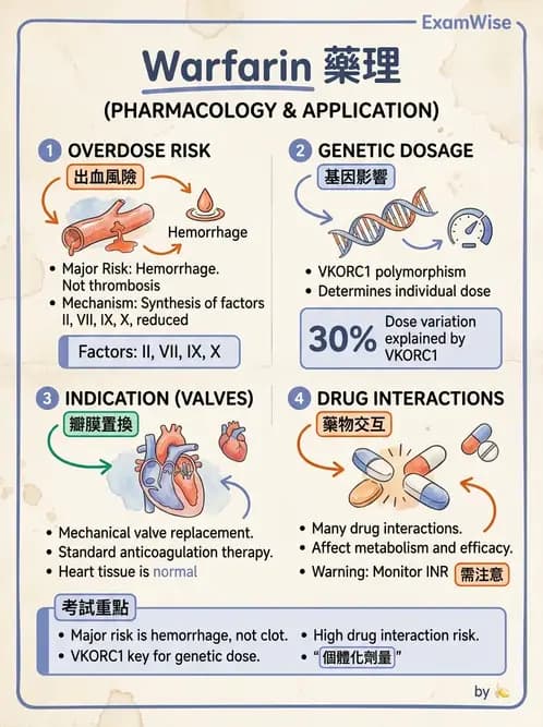 醫檢師 - 藥物相關基因檢測 - AI 圖文解析預覽