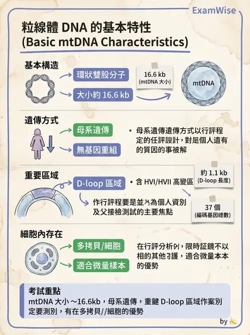 醫檢師 - 分子鑑定與應用技術 - AI 圖文解析預覽