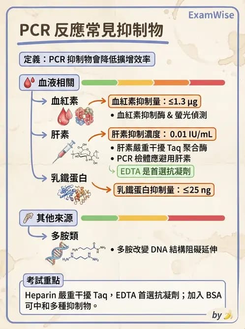 醫檢師 - 分子檢驗品質管理 - AI 圖文解析預覽
