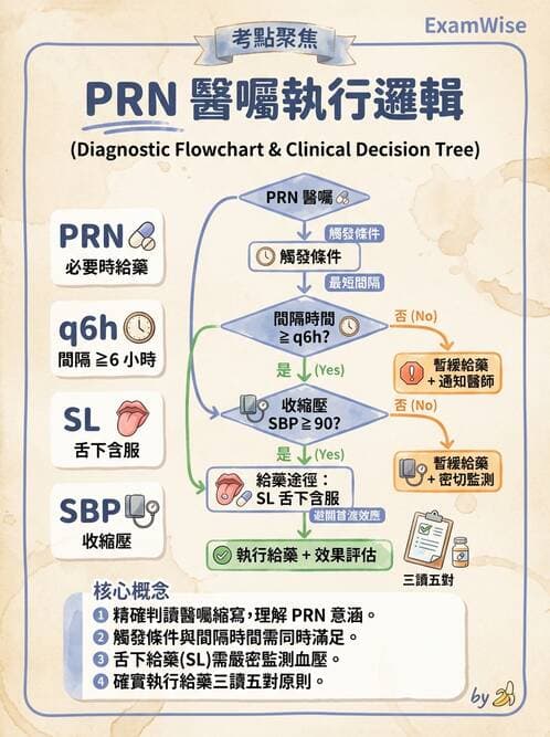 護理師 - 給藥原則與口服給藥 - AI 圖文解析預覽