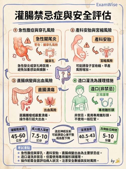護理師 - 腸道排泄與灌腸護理 - AI 圖文解析預覽