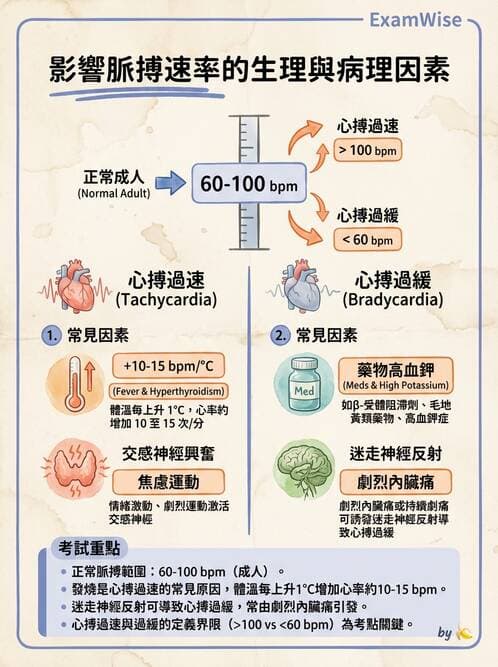 護理師 - 循環評估(脈搏與血壓) - AI 圖文解析預覽