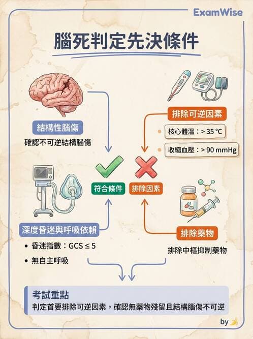 護理師 - 臨終與哀傷護理 - AI 圖文解析預覽
