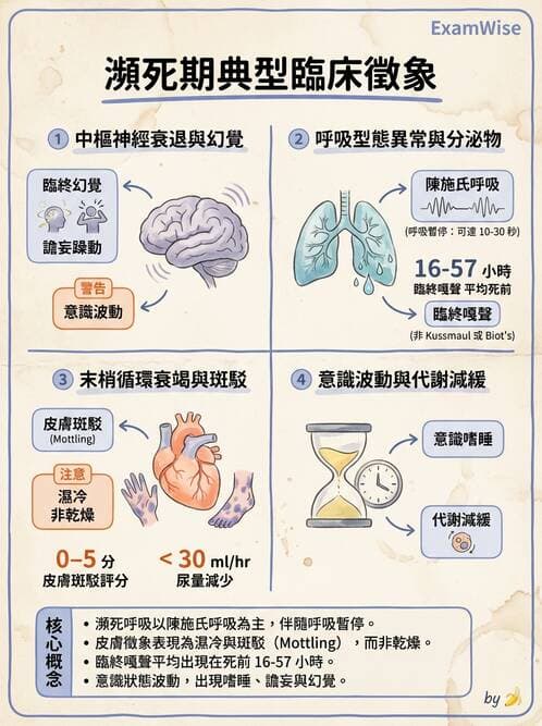 護理師 - 臨終與哀傷護理 - AI 圖文解析預覽