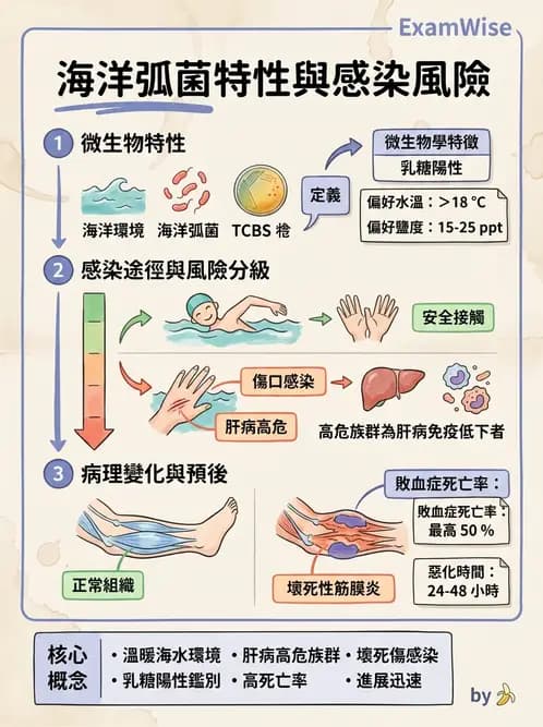 醫檢師 - 弧菌、氣單胞菌與彎曲菌 - AI 圖文解析預覽
