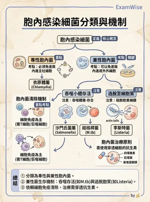 醫檢師 - 實驗室安全與微生物特性 - AI 圖文解析預覽