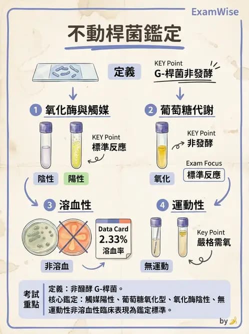 醫檢師 - 非發酵菌 - AI 圖文解析預覽