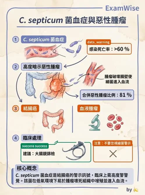 醫檢師 - 厭氧菌 - AI 圖文解析預覽