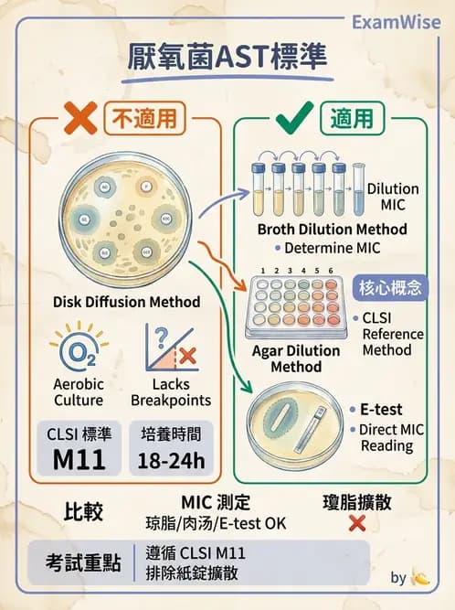 醫檢師 - 藥敏試驗方法 - AI 圖文解析預覽