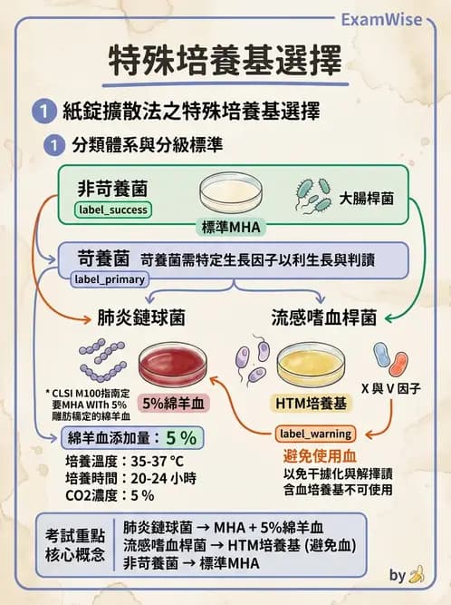 醫檢師 - 藥敏試驗方法 - AI 圖文解析預覽