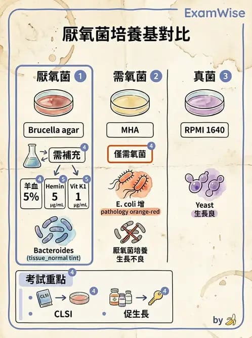 醫檢師 - 藥敏試驗方法 - AI 圖文解析預覽