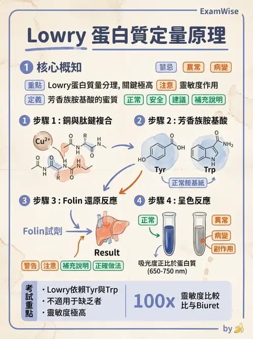 醫檢師 - 血清蛋白與蛋白質檢測 - AI 圖文解析預覽