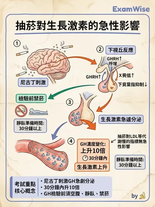 醫檢師 - 甲狀腺與垂體內分泌 - AI 圖文解析預覽