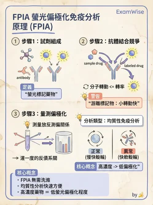 醫檢師 - 治療藥物監測與毒物學 - AI 圖文解析預覽