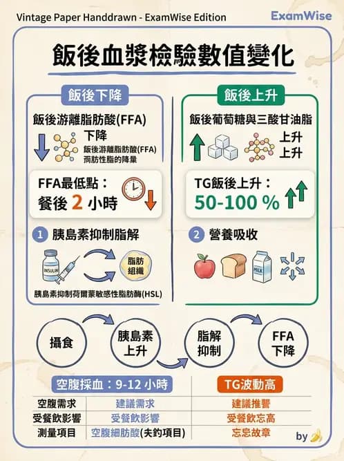 醫檢師 - 品質管理與數據判讀 - AI 圖文解析預覽