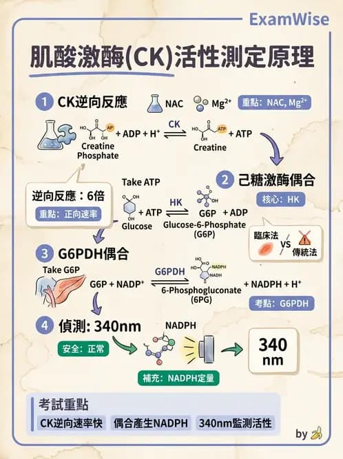 醫檢師 - 心肌標誌與心臟診斷 - AI 圖文解析預覽