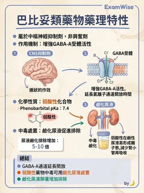 醫檢師 - 治療藥物監測與毒物學 - AI 圖文解析預覽