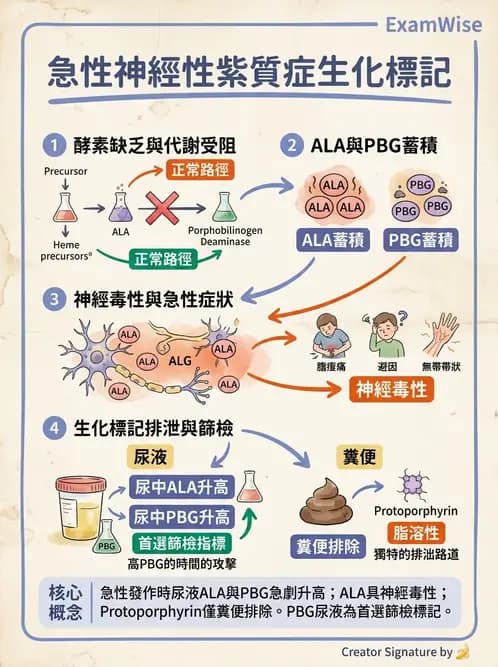 醫檢師 - 胺基酸代謝與先天性疾病 - AI 圖文解析預覽