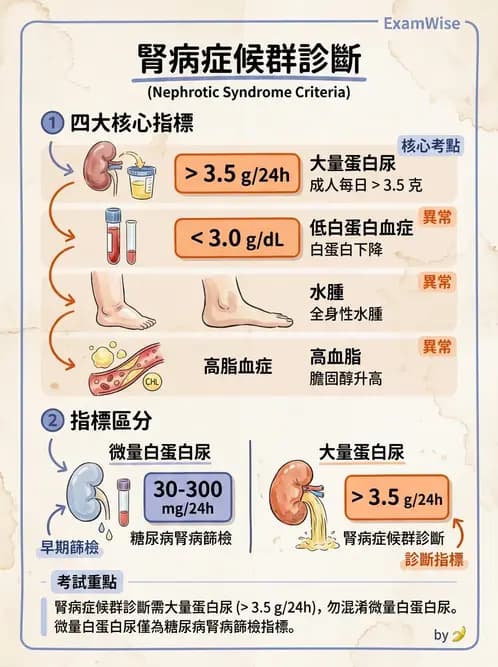醫檢師 - 腎臟機能與代謝評估 - AI 圖文解析預覽