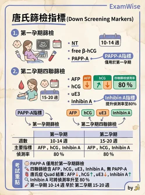 醫檢師 - 腎上腺與生殖內分泌 - AI 圖文解析預覽
