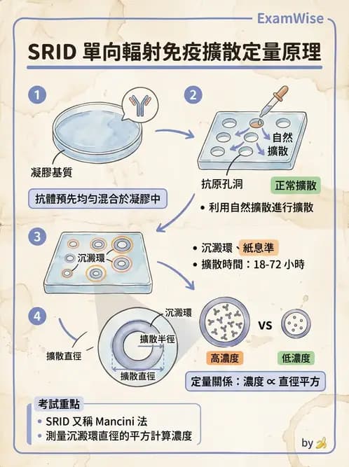 醫檢師 - 實驗室測試免疫法 - AI 圖文解析預覽