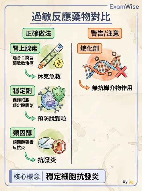 醫檢師 - 過敏反應及測試法 - AI 圖文解析預覽