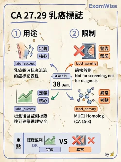 醫檢師 - 腫瘤免疫學免疫療法及疫苗 - AI 圖文解析預覽