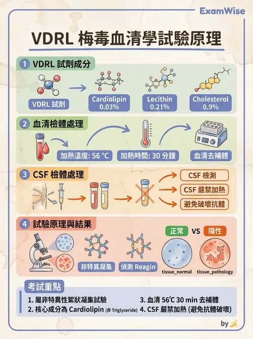 醫檢師 - 急性發炎蛋白與微生物感染血清學 - AI 圖文解析預覽