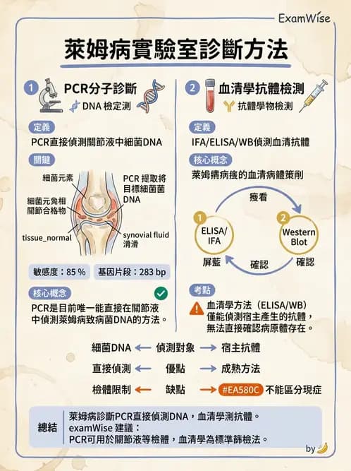 醫檢師 - 急性發炎蛋白與微生物感染血清學 - AI 圖文解析預覽