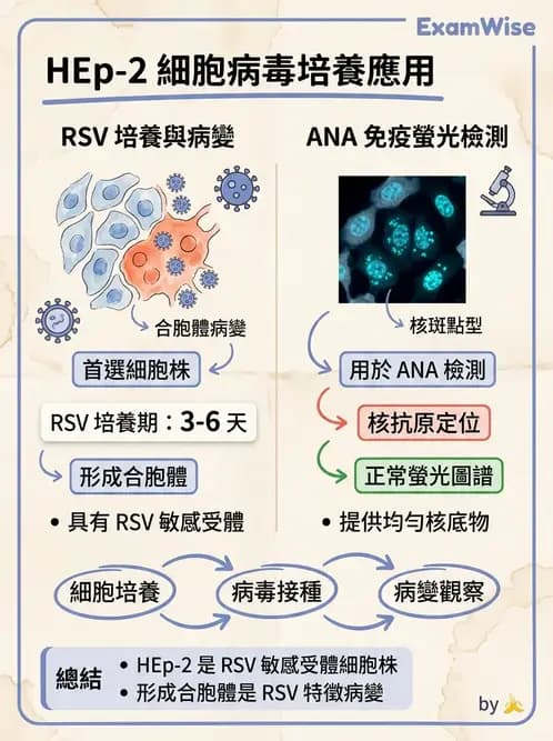 醫檢師 - 病毒檢驗技術 - AI 圖文解析預覽