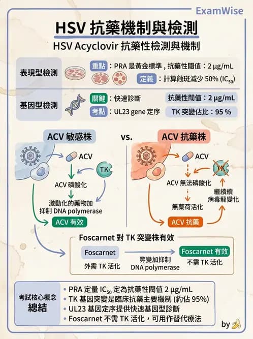 醫檢師 - 抗病毒藥物與疫苗通論 - AI 圖文解析預覽