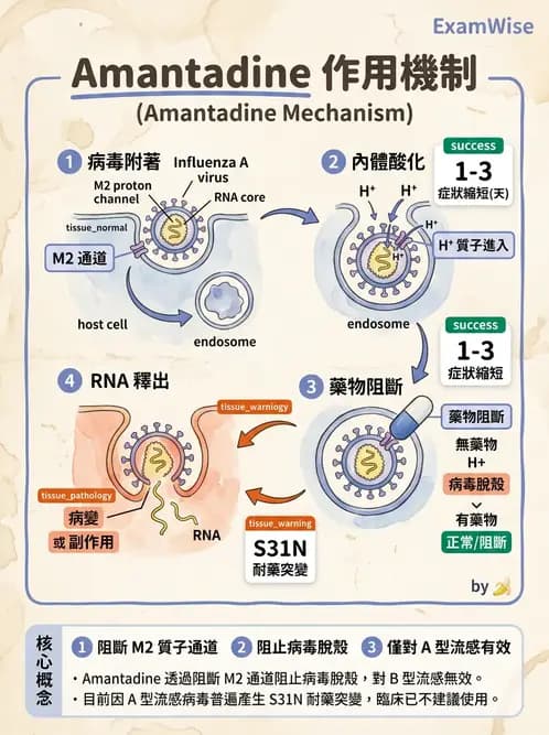 醫檢師 - 抗病毒藥物與疫苗通論 - AI 圖文解析預覽