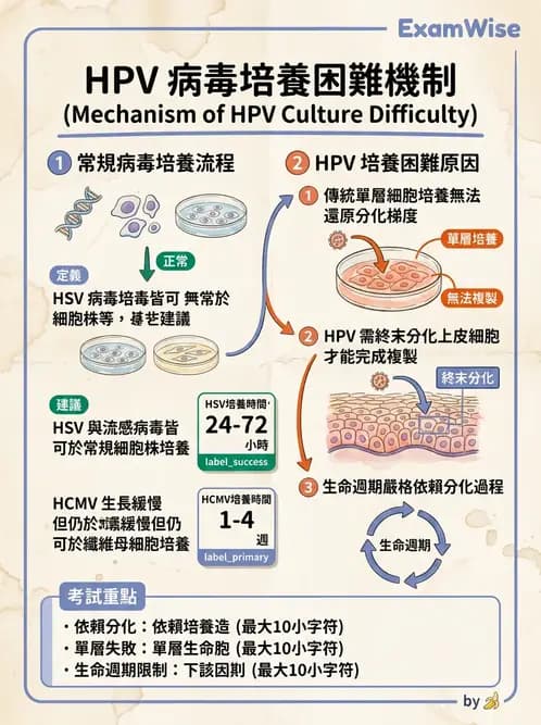 醫檢師 - 病毒檢驗技術 - AI 圖文解析預覽