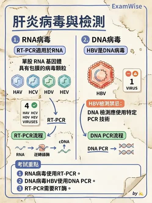 醫檢師 - 病毒檢驗技術 - AI 圖文解析預覽