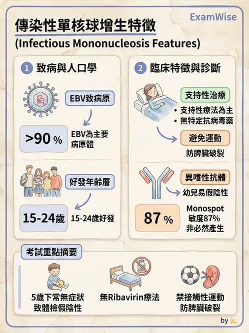 醫檢師 - 疱疹病毒科 - AI 圖文解析預覽