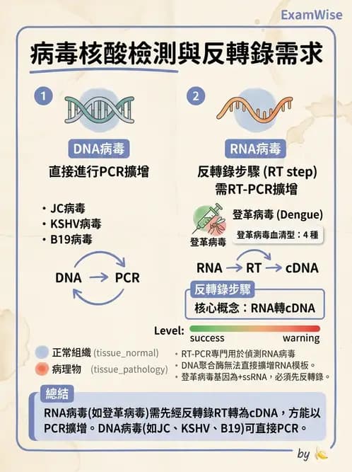 醫檢師 - 病毒檢驗技術 - AI 圖文解析預覽