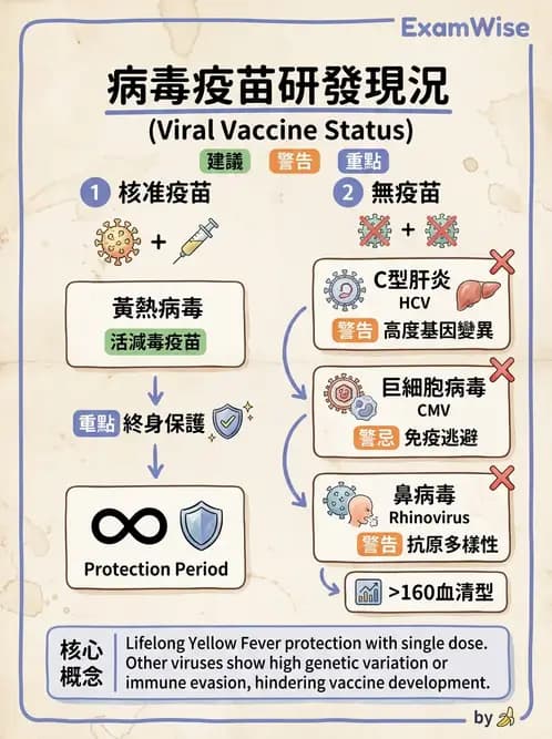 醫檢師 - 抗病毒藥物與疫苗通論 - AI 圖文解析預覽