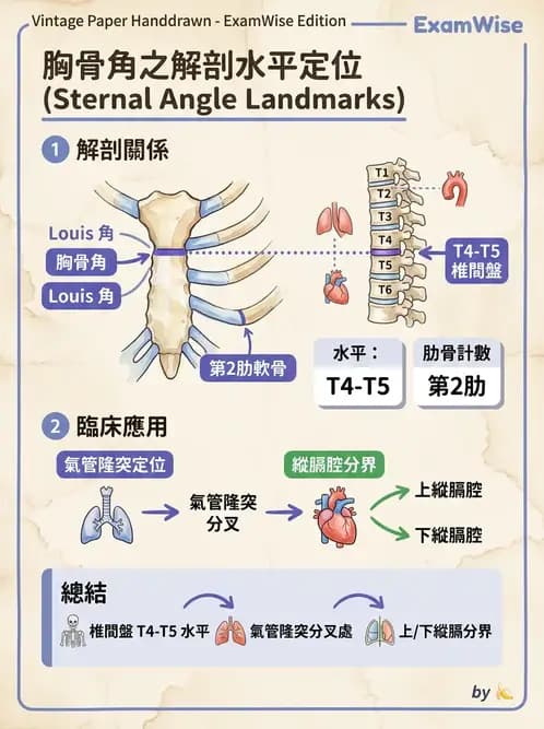 放射 - 骨骼系統 - AI 圖文解析預覽